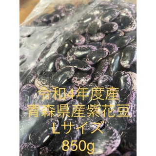 令和4年度産　青森県産紫花豆　Lサイズ　850g(野菜)