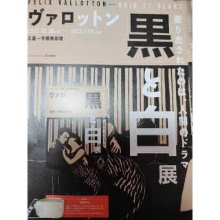 ヴァロットン　三菱一号館美術館　鑑賞券１枚(美術館/博物館)