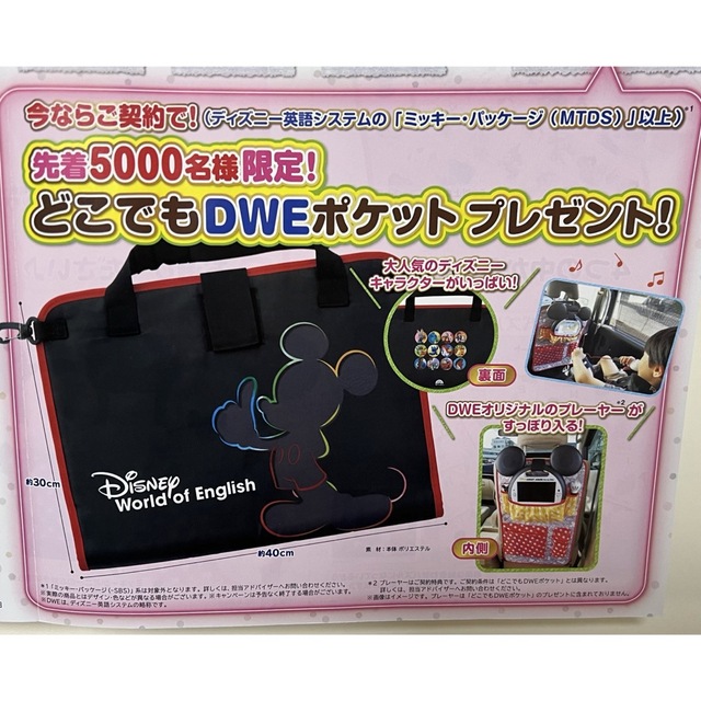 【非売品】DWE カーポケット ミッキーメイト