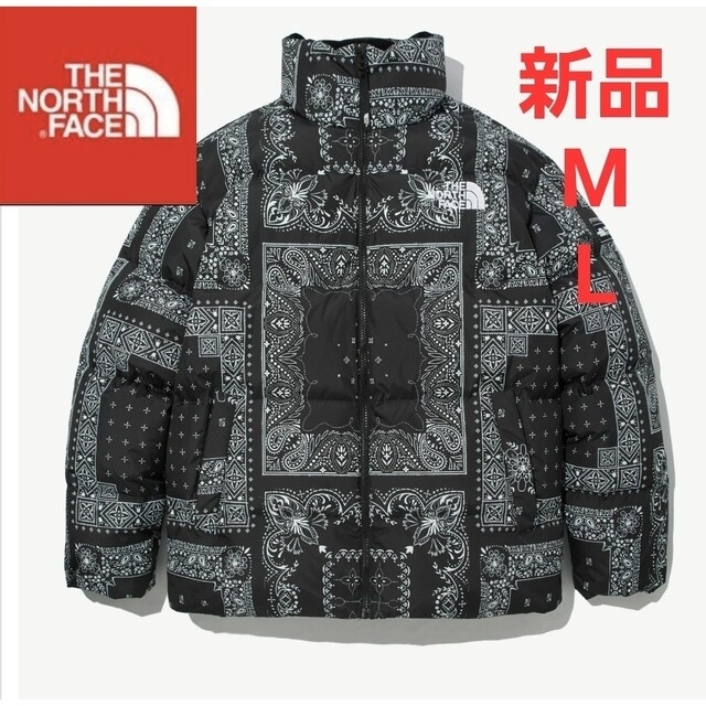 THE NORTH FACE(ザノースフェイス)のTHE NORTH FACE　ノースフェイス　新品　ダウンジャケット　ペイズリー メンズのジャケット/アウター(ダウンジャケット)の商品写真