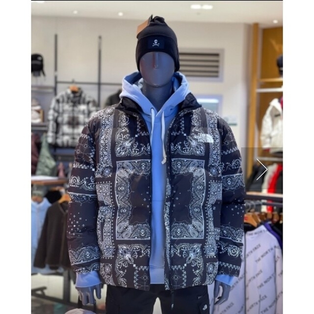 THE NORTH FACE　ノースフェイス　新品　ダウンジャケット　ペイズリー