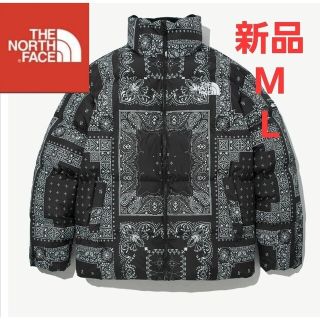 ザノースフェイス(THE NORTH FACE)のTHE NORTH FACE　ノースフェイス　新品　ダウンジャケット　ペイズリー(ダウンジャケット)