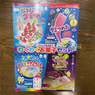 知育菓子　つくってあそぼう　わくわくお菓子セット　ねるねるねるね(菓子/デザート)