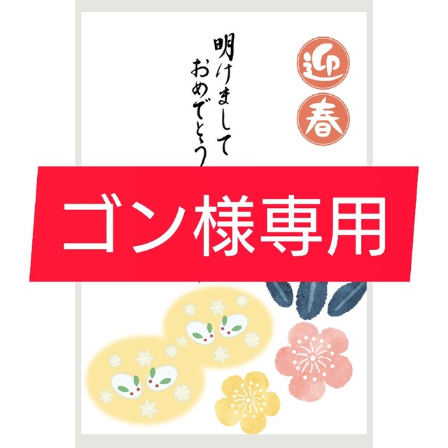 2023年賀状 ゴン様専用 | energysource.com.br
