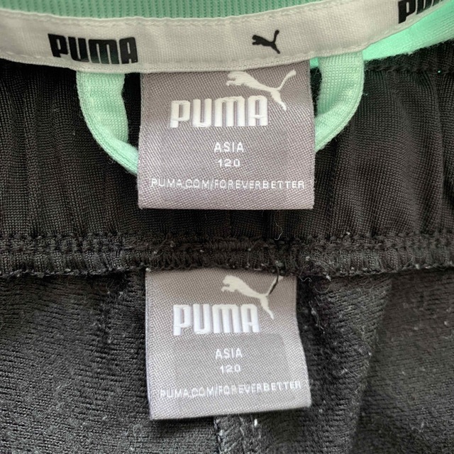 PUMA(プーマ)の《ご商談中》120㎝ PUMA ジャージ上下 女の子 キッズ/ベビー/マタニティのキッズ服女の子用(90cm~)(その他)の商品写真