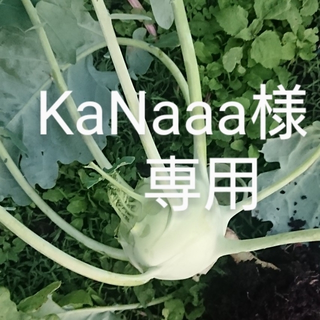 KaNaaa様専用 食品/飲料/酒の食品(野菜)の商品写真