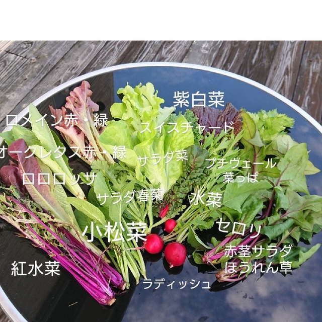 KaNaaa様専用 食品/飲料/酒の食品(野菜)の商品写真