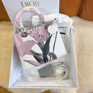 ディオール(Christian Dior) クラッチバッグ ハンドバッグ(レディース 