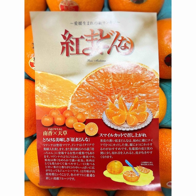 高級柑橘！！愛媛県産【紅まどんな】秀品Lサイズ 15玉 3kg 食品/飲料/酒の食品(フルーツ)の商品写真