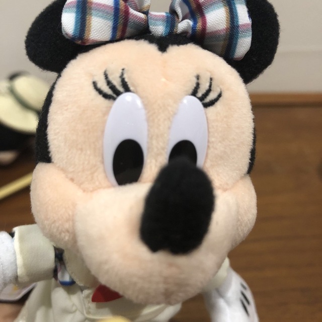 【未使用】ディズニー 39周年 ぬいぐるみバッジ カヌー クリッターカントリー 6