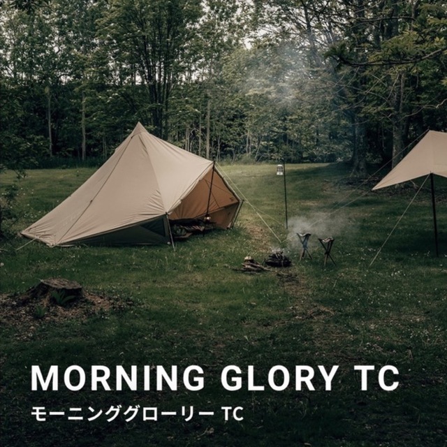 値下げしました サバティカル モーニンググローリーTC-