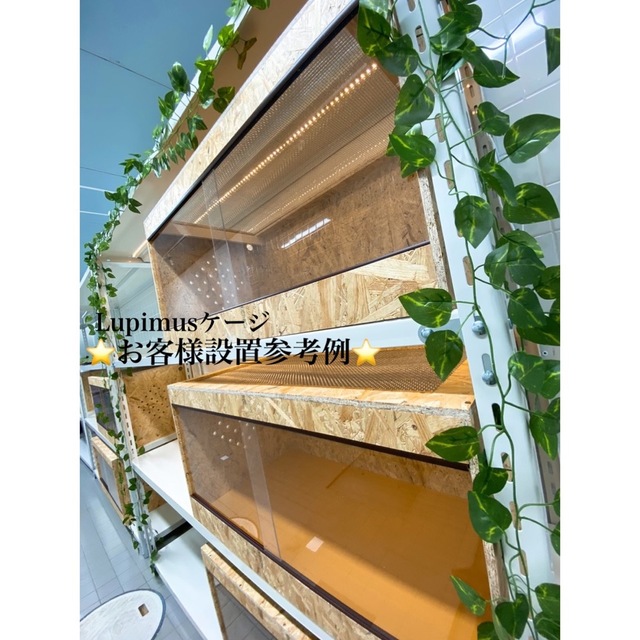 爬虫類ケージ 90×45×45サイズ⭐️天井金網仕様 爬虫類ケージ 90×45×45サイズ⭐️天井金網仕様