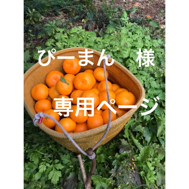 ぴーまん　様　専用ページ 食品/飲料/酒の食品(フルーツ)の商品写真