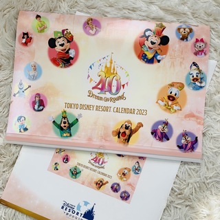 Disney - 2023年 非売品 東京ディズニーリゾート カレンダー ダッフィー TDR