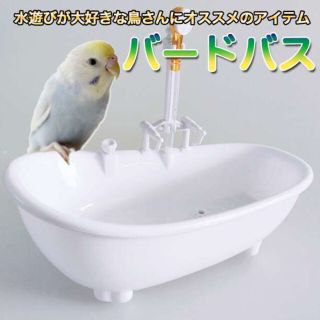 バードバス 小鳥専用 白 水遊び容器 お風呂 バスタブ シャワー付き(鳥)