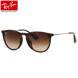 レイバン(Ray-Ban)のレイバン サングラス Ray-Ban RB4171F 偏光レンズ(サングラス/メガネ)