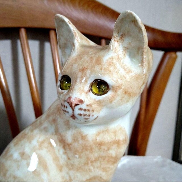 ウィンスタンレイキャット(ケンジントンキャット)サイズ4、小顔の