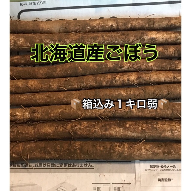 北海道産ごぼう　 食品/飲料/酒の食品(野菜)の商品写真