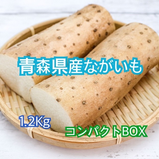 青森県産　新鮮野菜　ながいも 食品/飲料/酒の食品(野菜)の商品写真