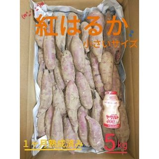 新物◎茨城県産☆１ヶ月熟成済み☆ 紅はるか さつまいも 食べやすいサイズ♪(野菜)