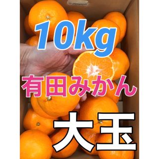 有田みかん 大玉 箱込み10kg 和歌山県産 キルトパッチ店(フルーツ)