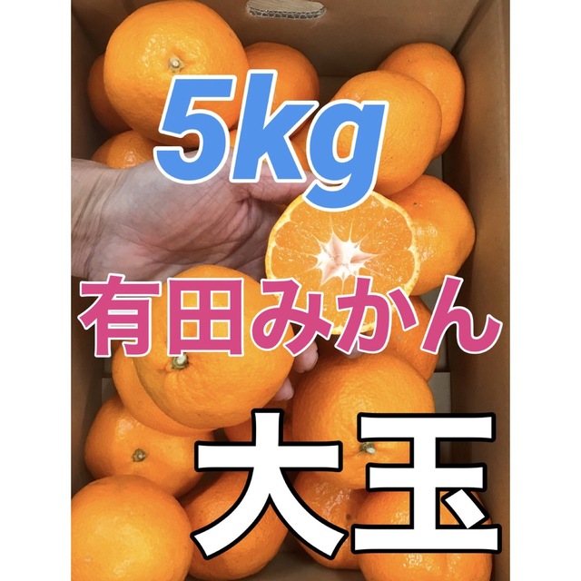 有田みかん 大玉 箱込み5kg 和歌山県産 キルトパッチ店 食品/飲料/酒の食品(フルーツ)の商品写真