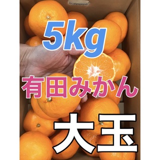 有田みかん 大玉 箱込み5kg 和歌山県産 キルトパッチ店(フルーツ)