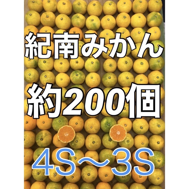 紀南みかん 200個ぐらい 箱込み10kg 小粒ミニ キルトパッチ店 食品/飲料/酒の食品(フルーツ)の商品写真