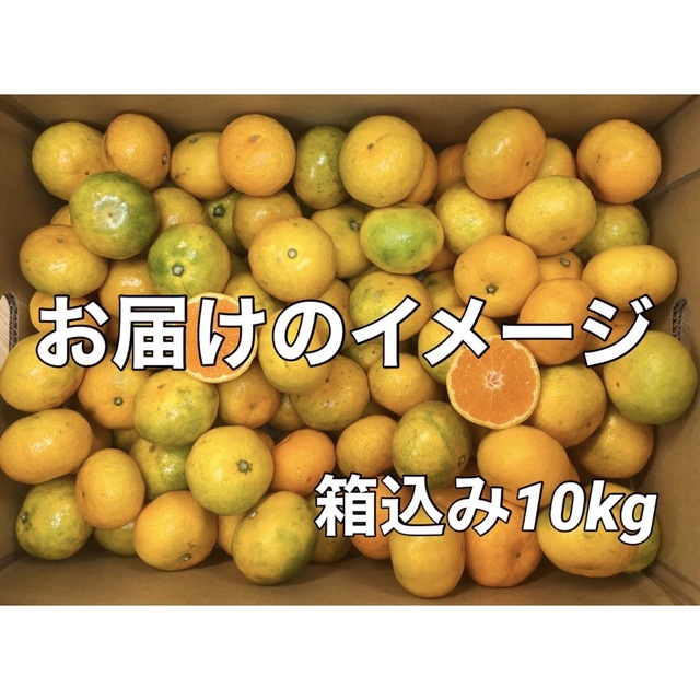 紀南みかん 200個ぐらい 箱込み10kg 小粒ミニ キルトパッチ店 食品/飲料/酒の食品(フルーツ)の商品写真