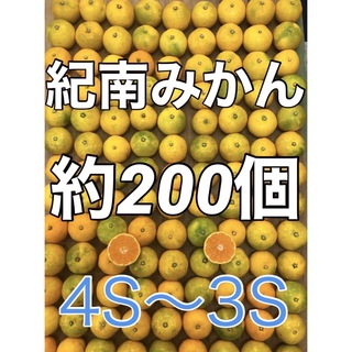 紀南みかん 200個ぐらい 箱込み10kg 小粒ミニ キルトパッチ店(フルーツ)