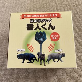 あさん専用(猫)