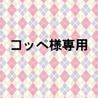 コッペ様専用  ドラゴンボール フィギュア(フィギュア)