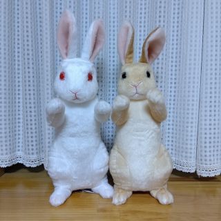 たっちいZoo らびっと 白&茶 ２匹セット(ぬいぐるみ)