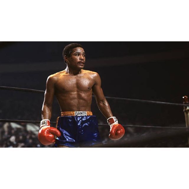 ボクシング ウルフレド・ベニテス 30試合12枚DVDセット スポーツ/アウトドアのスポーツ/アウトドア その他(ボクシング)の商品写真