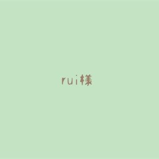 rui様🦋専用(その他)