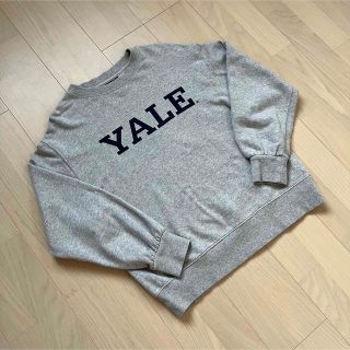 YALE イェール大学ロゴ　センターロゴ　スウェットシャツ　グレー　Ｌ(スウェット)