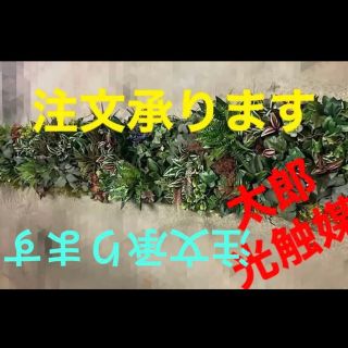 光触媒人工観葉植物ウォールグリーンフェイクフラワーハンドメイド　258963(壁掛けミラー)