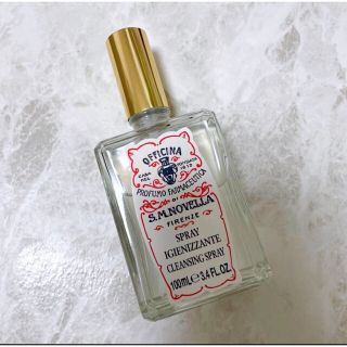 サンタマリアノヴェッラ(Santa Maria Novella)のサンタマリアノベェッラ(その他)