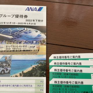 エーエヌエー(ゼンニッポンクウユ)(ANA(全日本空輸))のANA株主優待　国内搭乗優待券4枚（優待券付き）1冊　国内搭乗優待券(その他)