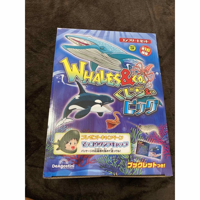 新！！！！ディアゴスティーニ WHALES＆CO くじら＆CO ビッグ 100