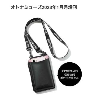 ジルスチュアート(JILLSTUART)のオトナミューズ付録　マルチショルダー(ショルダーバッグ)