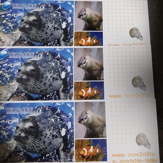 新江ノ島水族館ご招待券×３枚です。即購入オッケーですが(水族館)