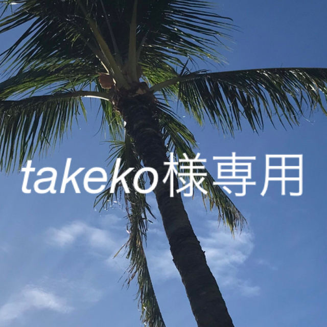 66%OFF!】 Taeko様 専用 solines.ec