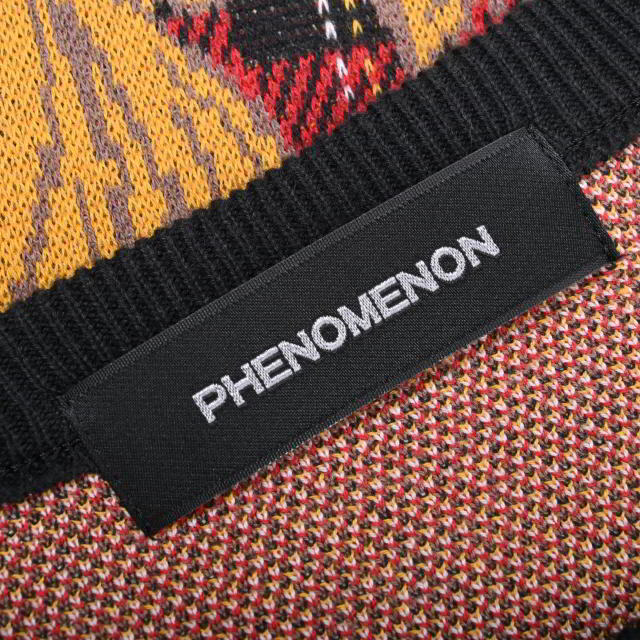 PHENOMENON(フェノメノン)のPHENOMENON イーグルコットンニット メンズのトップス(ニット/セーター)の商品写真