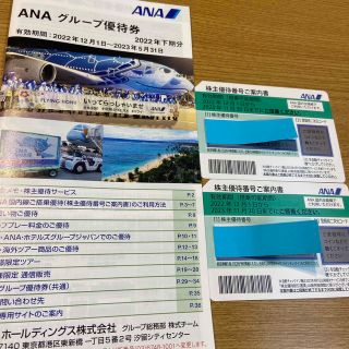 エーエヌエー(ゼンニッポンクウユ)(ANA(全日本空輸))のANA株主優待割引チケット2枚　グループ優待券(その他)