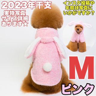 犬服 M 犬用 2023年干支 うさぎ 卯年 ピンク 桃色 パーカー(犬)