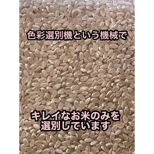 イセヒカリ】玄米10kg 新米 令和4年度兵庫県産 無農薬無施肥の自然栽培