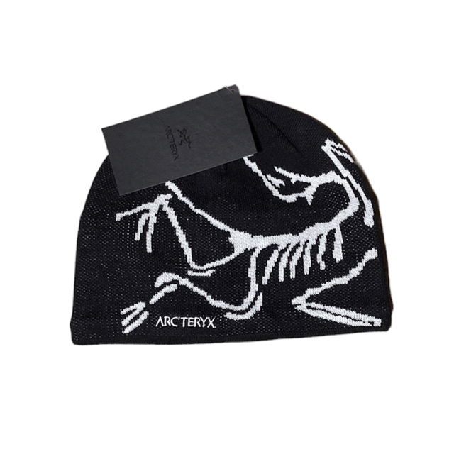 新品未使用】Arc'teryx Bird Head toque ビーニー | www