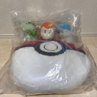 ポケモン1番クジ　Ａ賞(ぬいぐるみ)