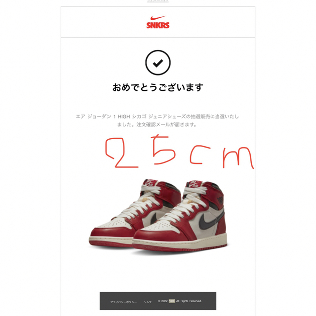 Jordan Brand（NIKE）(ジョーダン)のNIKE ナイキ AIR JORDAN1 Chicago ジュニア aj1 25 キッズ/ベビー/マタニティのキッズ靴/シューズ(15cm~)(スニーカー)の商品写真